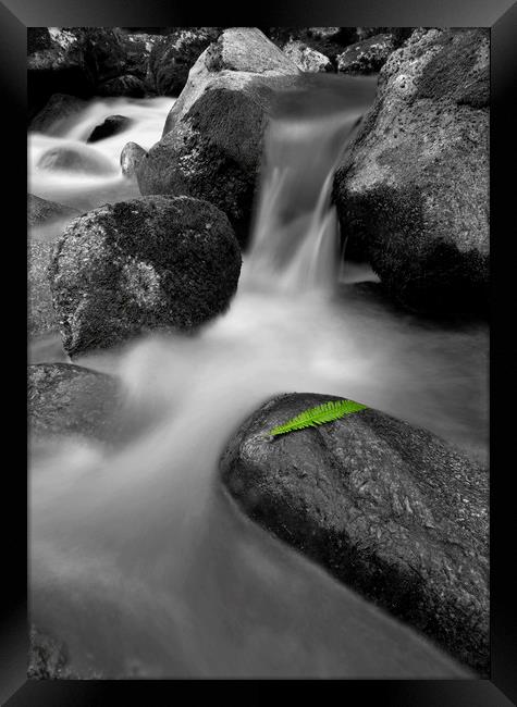 Waterfall with a single green leaf Framed Print by Shaun Jacobs