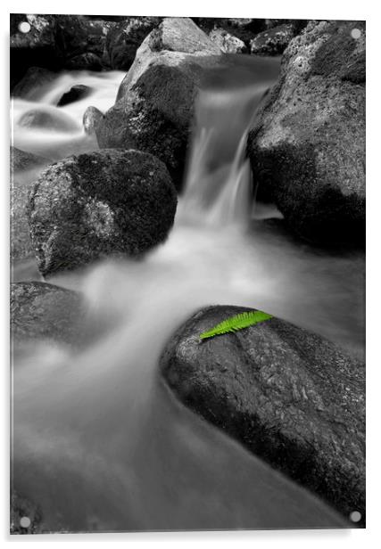 Waterfall with a single green leaf Acrylic by Shaun Jacobs