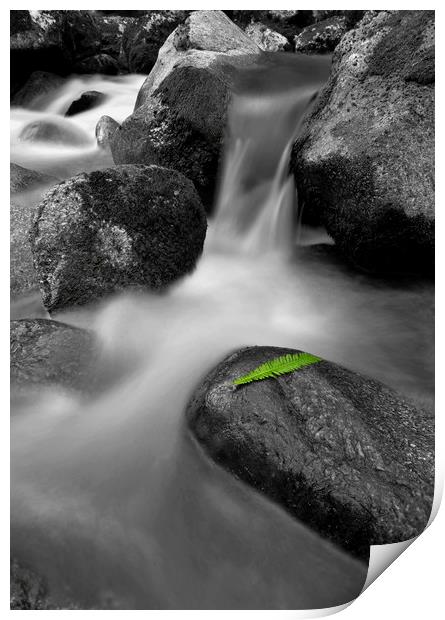 Waterfall with a single green leaf Print by Shaun Jacobs