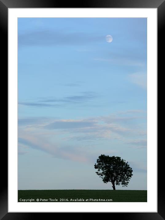 Minimal treescape Framed Mounted Print by Peter Towle