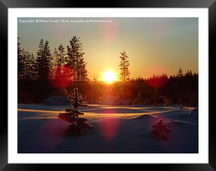 Cold sun Framed Mounted Print by Marja Ozwell