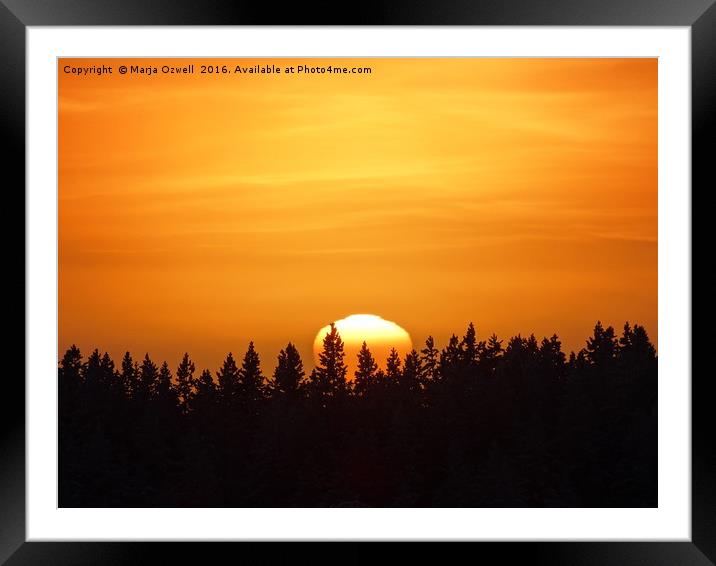 Sunrise in the woods Framed Mounted Print by Marja Ozwell