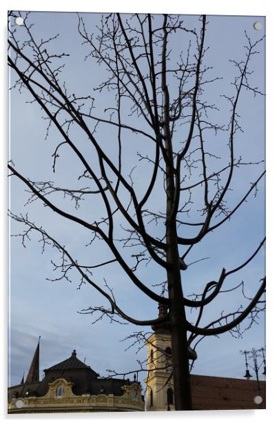 a budding tree Acrylic by Marinela Feier