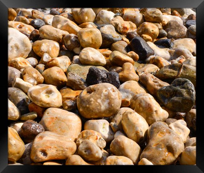 Pebbles on a beach  Framed Print by Shaun Jacobs