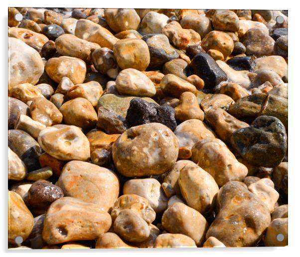 Pebbles on a beach  Acrylic by Shaun Jacobs