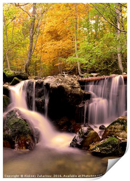 Waterfall in the forest during Autumn Print by Aleksey Zaharinov