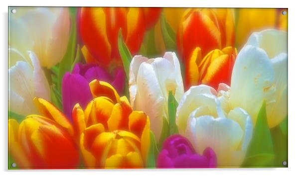 Bunch of soft tone Tulip Flowers                   Acrylic by Sue Bottomley