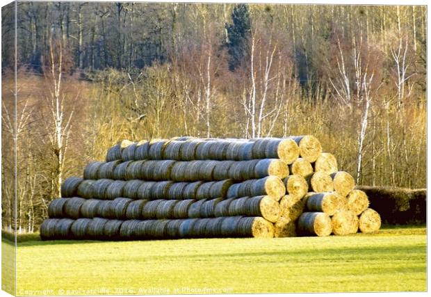 hay bales  Canvas Print by paul ratcliffe