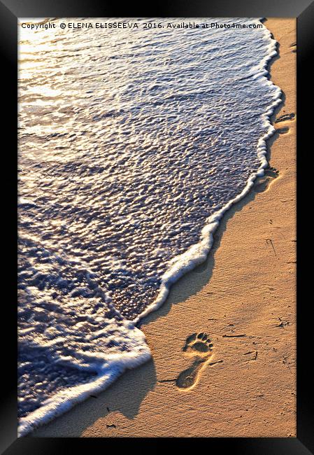 Tropical beach with footprints Framed Print by ELENA ELISSEEVA