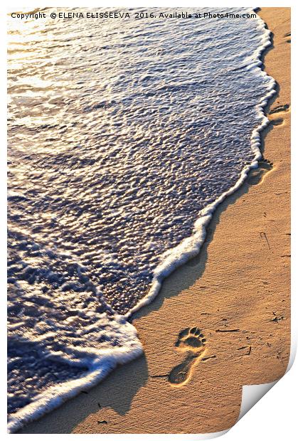 Tropical beach with footprints Print by ELENA ELISSEEVA