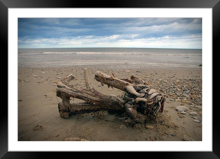 Seaham Beach Framed Mounted Print by Anth Short