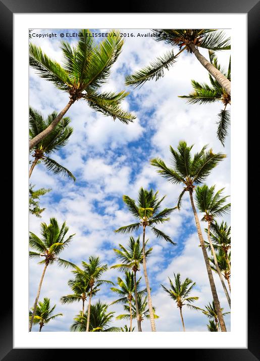 Palm trees Framed Mounted Print by ELENA ELISSEEVA