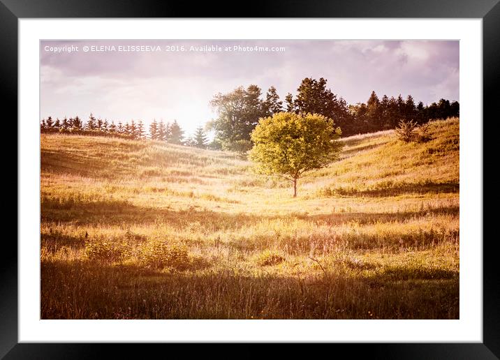 Rural landscape with single tree Framed Mounted Print by ELENA ELISSEEVA