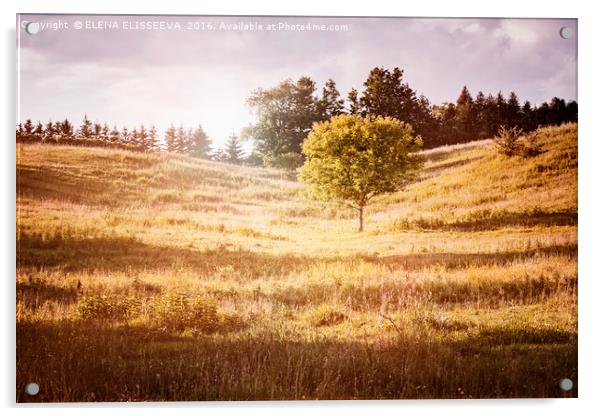 Rural landscape with single tree Acrylic by ELENA ELISSEEVA