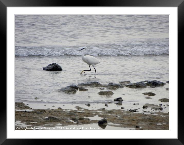 Wade in the Water Framed Mounted Print by Carmel Fiorentini