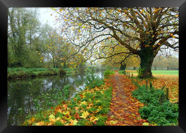     ITCHEN NAVIGATION IN AUTUMN                    Framed Print by Anthony Kellaway