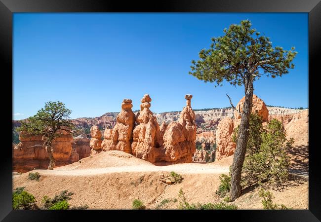 Beautiful BRYCE CANYON Framed Print by Melanie Viola