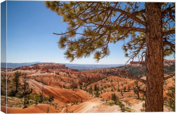 BRYCE CANYON Overlook Canvas Print by Melanie Viola