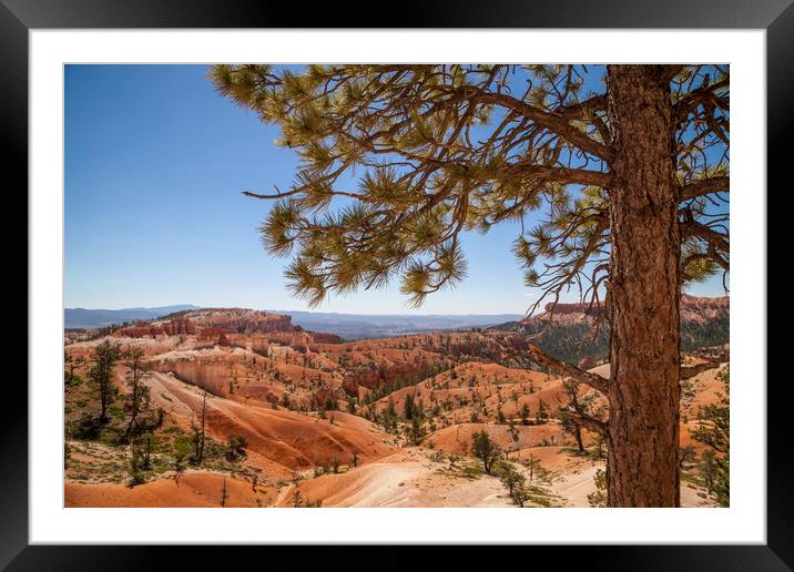 BRYCE CANYON Overlook Framed Mounted Print by Melanie Viola