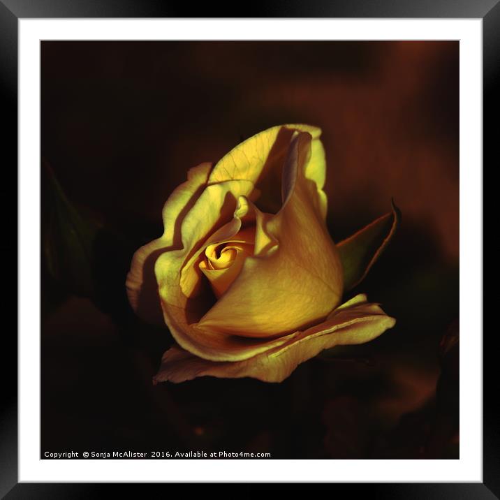 In Gold Framed Mounted Print by Sonja McAlister