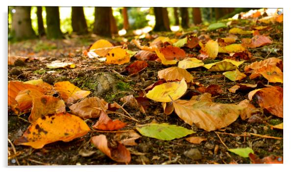 Autumn leaves  Acrylic by Shaun Jacobs