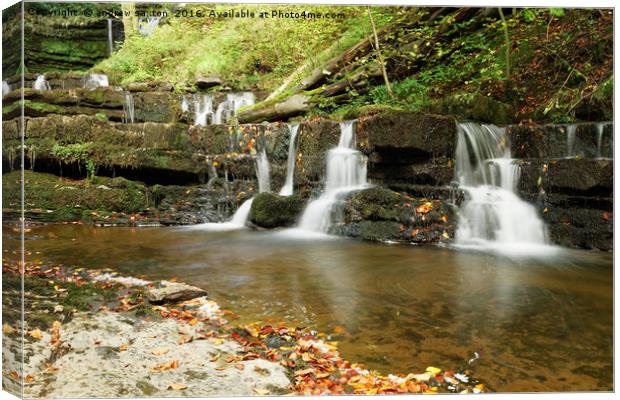 WATERFALLS EVERT WERE Canvas Print by andrew saxton