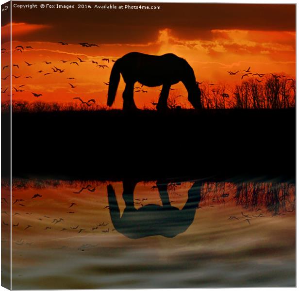  Countryside Sunset horse Canvas Print by Derrick Fox Lomax