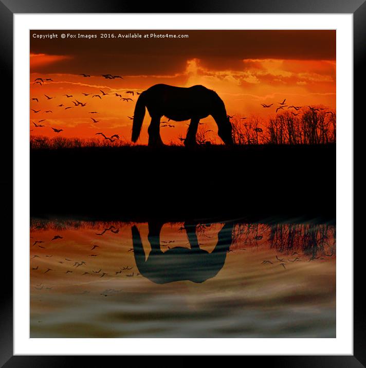  Countryside Sunset horse Framed Mounted Print by Derrick Fox Lomax