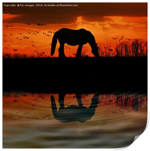  Countryside Sunset horse Print by Derrick Fox Lomax