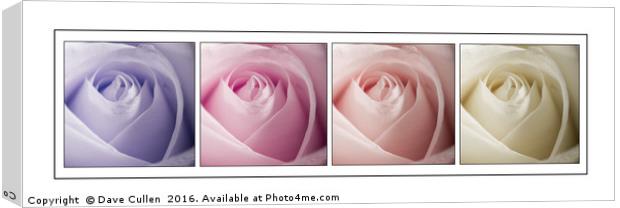 Roses in Pastels Canvas Print by Dave Cullen
