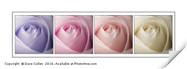 Roses in Pastels Print by Dave Cullen