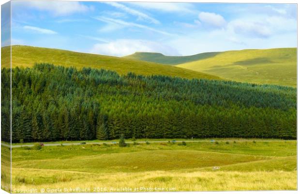 View to Pen y Fan Canvas Print by Gisela Scheffbuch