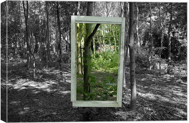 Window To Another World Canvas Print by Anth Short