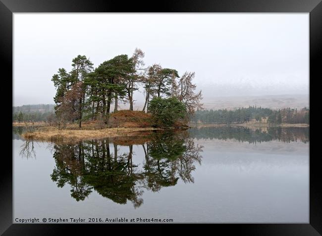Trees and mist Framed Print by Stephen Taylor