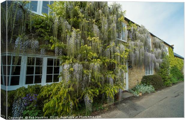 Wisteria Cottage  Canvas Print by Rob Hawkins