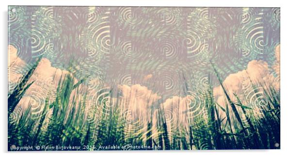 Clouds Grasses Acrylic by Florin Birjoveanu