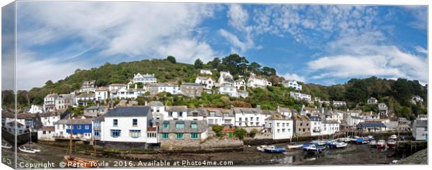 Polperro Canvas Print by Peter Towle