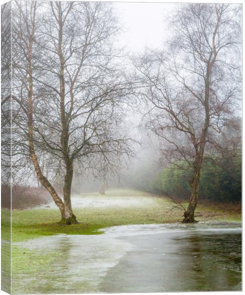 Flood Canvas Print by Gary Finnigan