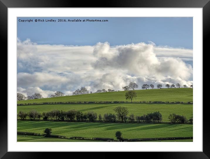 Tree Line Framed Mounted Print by Rick Lindley