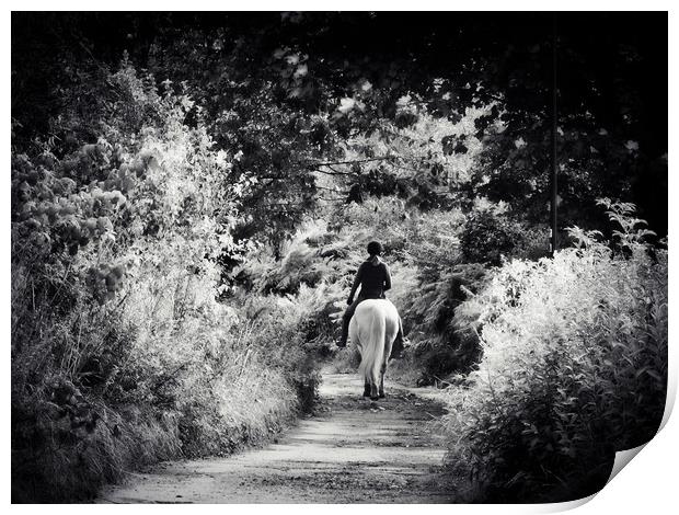 horse and girl Print by Derrick Fox Lomax