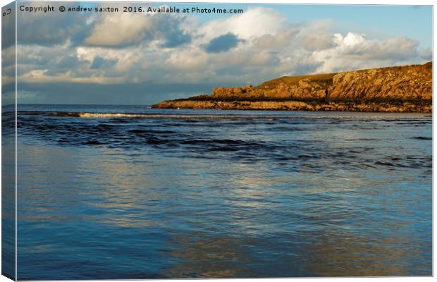 WET BEACH Canvas Print by andrew saxton