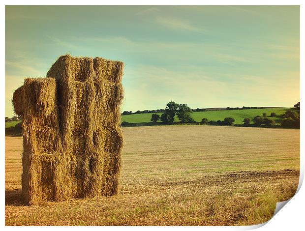 Hay Print by Anth Short