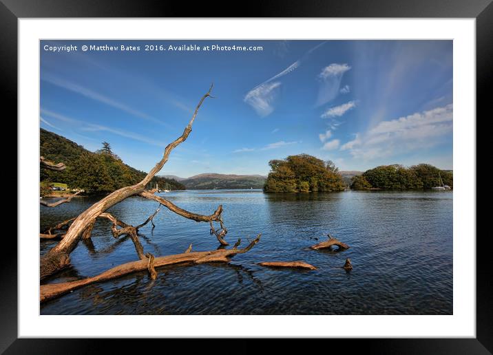 Windermere tree Framed Mounted Print by Matthew Bates