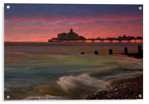 Hastings Pier  Acrylic by sylvia scotting