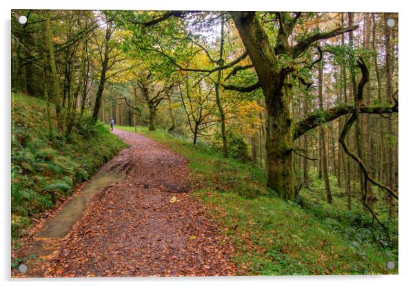 Autumn forest path  Acrylic by chris smith
