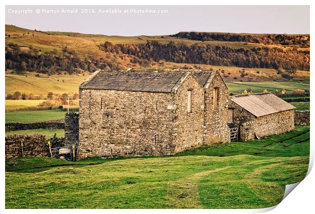 Stone barns Reeth Yorkshire Print by Martyn Arnold
