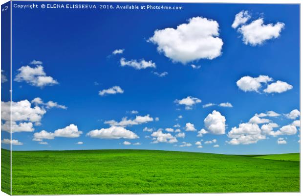 Green rolling hills under blue sky Canvas Print by ELENA ELISSEEVA