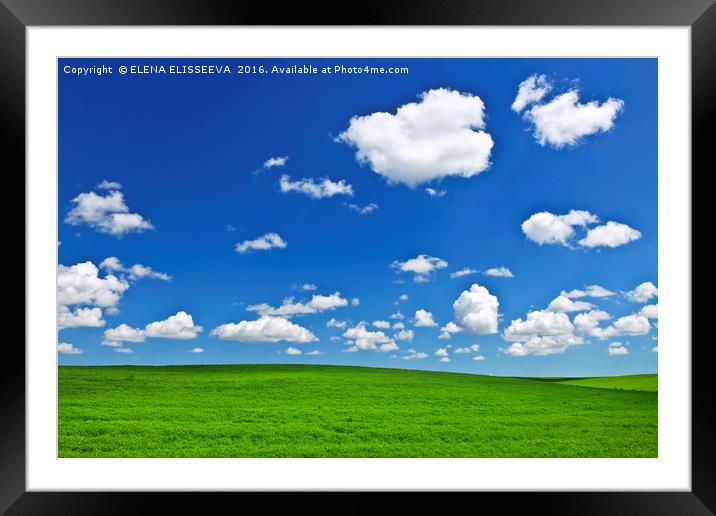 Green rolling hills under blue sky Framed Mounted Print by ELENA ELISSEEVA