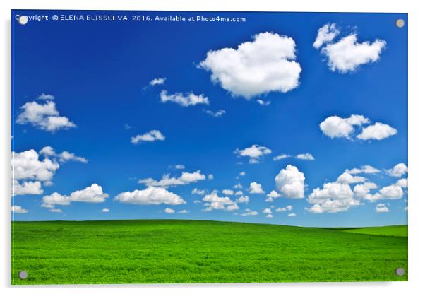 Green rolling hills under blue sky Acrylic by ELENA ELISSEEVA