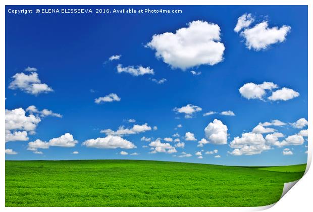 Green rolling hills under blue sky Print by ELENA ELISSEEVA